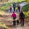 Walk and Talk